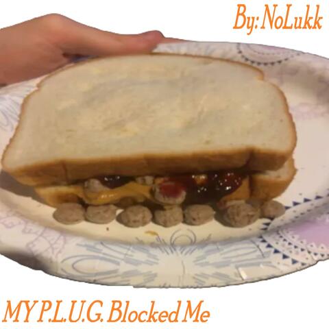My P.L.U.G. Blocked Me