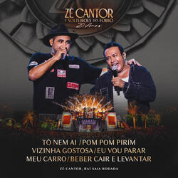 Tô Nem Aí / Pom Pom Pirim / Vizinha Gostosa / Eu Vou Parar Meu Carro / Beber, Cair e Levantar