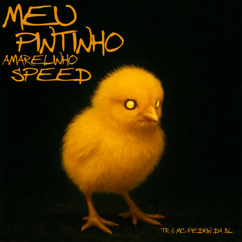 PINTINHO AMARELINHO SPEED