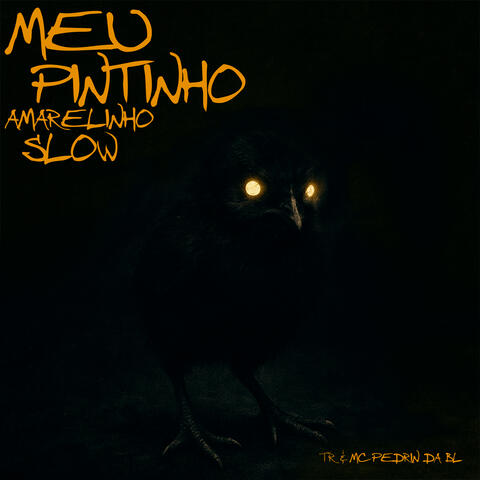 PINTINHO AMARELINHO SLOW