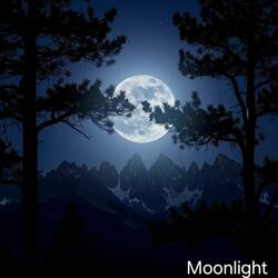 Moonlight