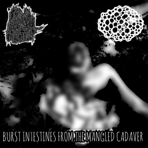 Burst Intestines from the Mangled Cadaver