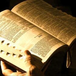 Leitura do Dia