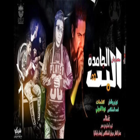 Rayha Fe Toktok Gya Fe Malaky