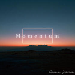 Momentum