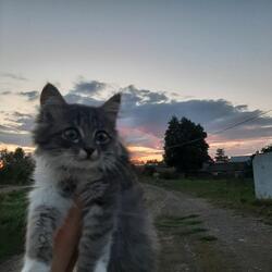 man from the sky