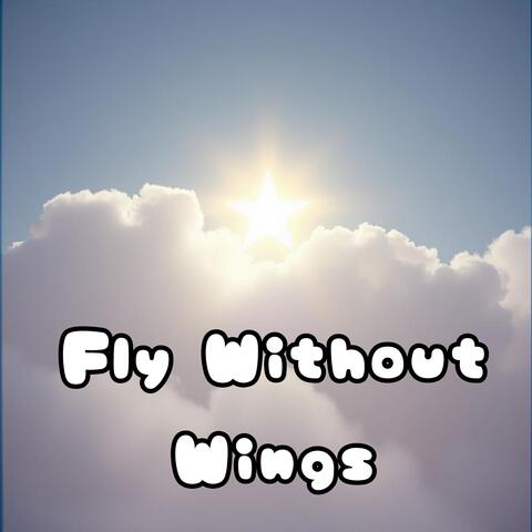 Fly Without Wings