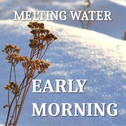 EARLY MORNING
