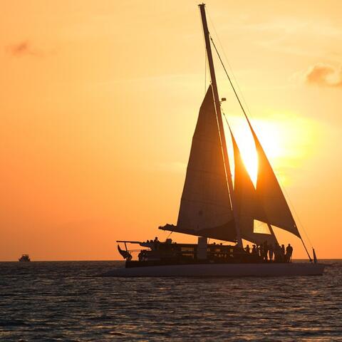 Tequila Sunrise (Saudade Connection)