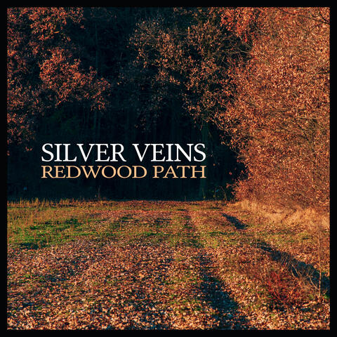 Silver Veins