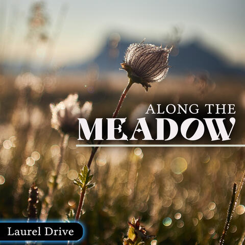 Along The Meadow