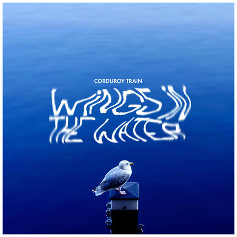 Wings in the Water