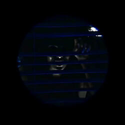 P.T.S.D