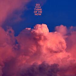 Do You Think Of Me Now