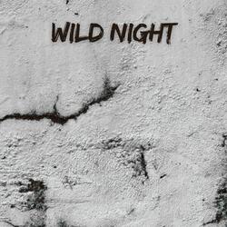 Wild Night