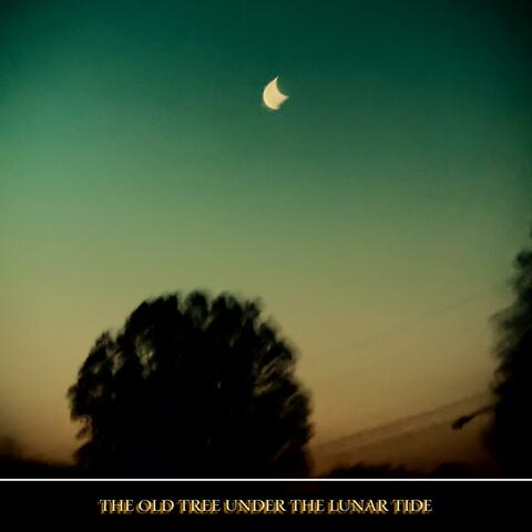 The old tree under the Lunar tide