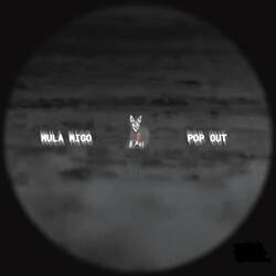 POP OUT (Radio Edit)