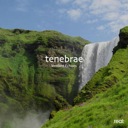 Verdant Echoes