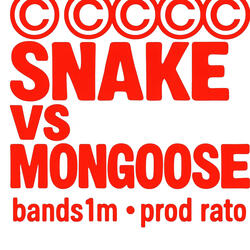 SNAKE VS MONGOOSE