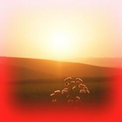 Towards a shining hope