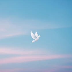 Peace of Mind