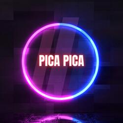 pica pica