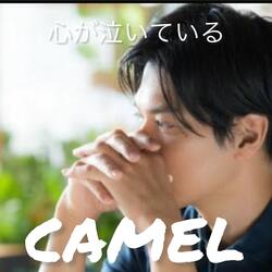 心が泣いている