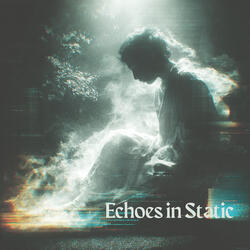 Echoes in Static