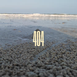 404