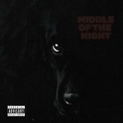 Middle Of The Night