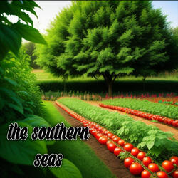 the southern seas