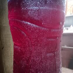 Belum di kasih surat