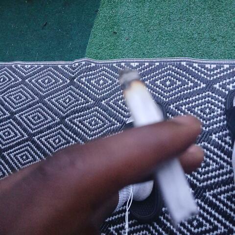 Dead Fly's