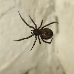 An anthem for leaving work