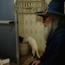 Os Gatos Fuçando Em Um Balde