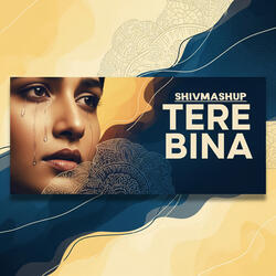 Tere Bina