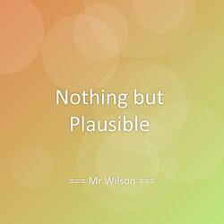 Nothing but Plausible