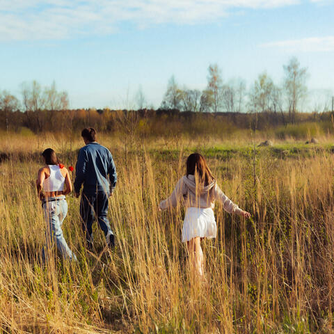 parasiit (akustiline)