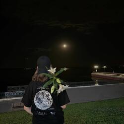 Ненавижу Лилии