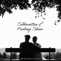Silhouettes & Fading Skies