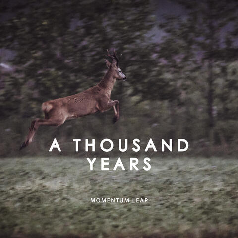 Momentum Leap