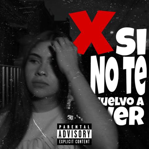 X si no te vuelvo a ver