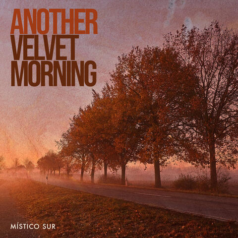 Another Velvet Morning