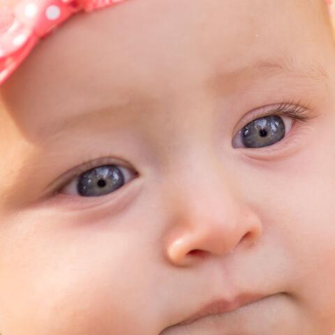 Secrets Beneath the Trees