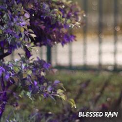 Blessed Rain