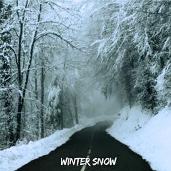 Winter Snow