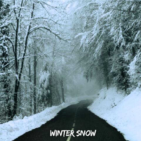 Winter Snow