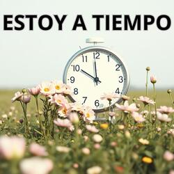 ESTOY A TIEMPO