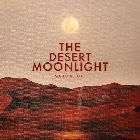 The Desert Moonlight