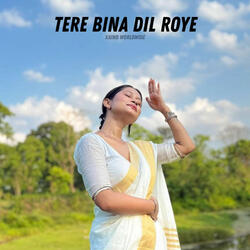 Tere Bina Dil Roye